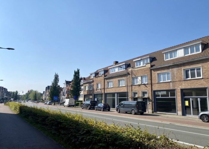 Uitvoerbaar vergund